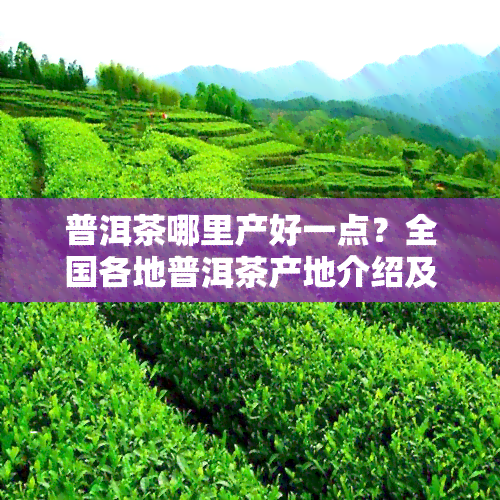 普洱茶哪里产好一点？全国各地普洱茶产地介绍及评价