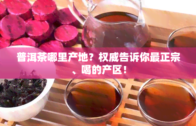 普洱茶哪里产地？权威告诉你最正宗、喝的产区！