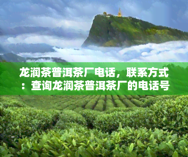 龙润茶普洱茶厂电话，联系方式：查询龙润茶普洱茶厂的电话号码