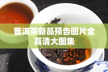 普洱茶新品预告图片全高清大图集