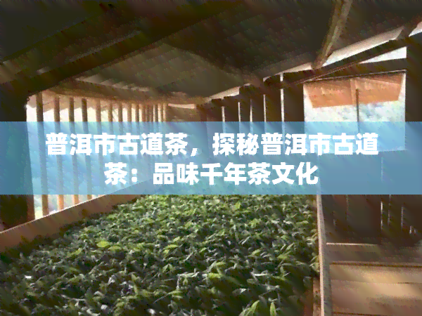 普洱市古道茶，探秘普洱市古道茶：品味千年茶文化