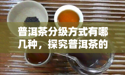 普洱茶分级方式有哪几种，探究普洱茶的分级方式：你了解多少？
