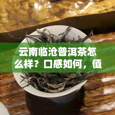 云南临沧普洱茶怎么样？口感如何，值得品尝吗？