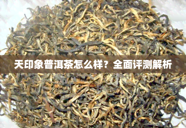 天印象普洱茶怎么样？全面评测解析