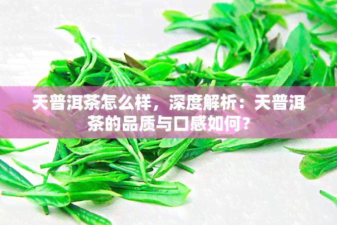 天普洱茶怎么样，深度解析：天普洱茶的品质与口感如何？