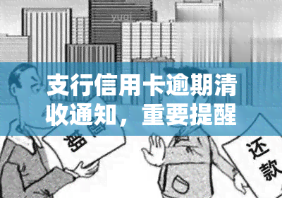 支行信用卡逾期清收通知，重要提醒：请尽快处理，支行信用卡逾期清收通知