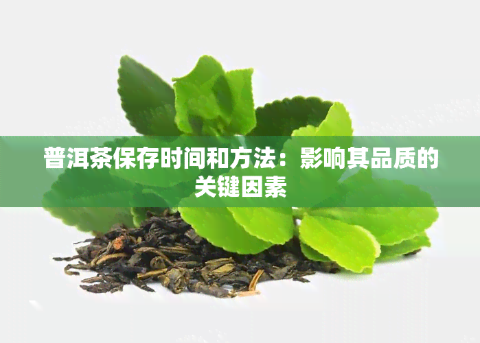 普洱茶保存时间和方法：影响其品质的关键因素