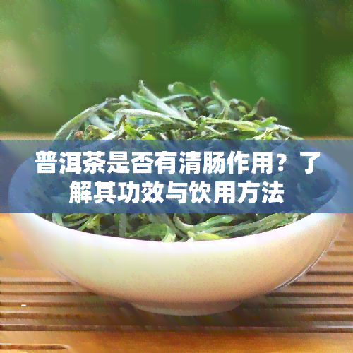 普洱茶是否有清肠作用？了解其功效与饮用方法