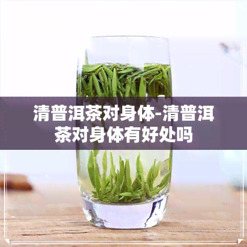 清普洱茶对身体-清普洱茶对身体有好处吗