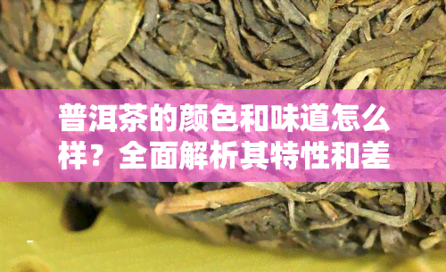 普洱茶的颜色和味道怎么样？全面解析其特性和差异