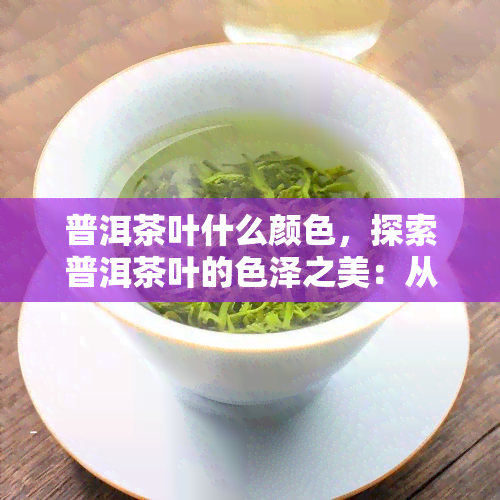 普洱茶叶什么颜色，探索普洱茶叶的色泽之美：从深沉到明亮的颜色变化