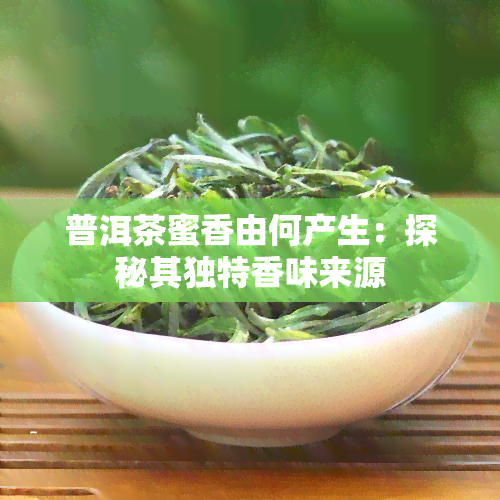 普洱茶蜜香由何产生：探秘其独特香味来源