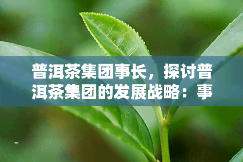 普洱茶集团事长，探讨普洱茶集团的发展战略：事长的视角与领导力