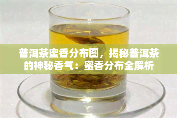 普洱茶蜜香分布图，揭秘普洱茶的神秘香气：蜜香分布全解析