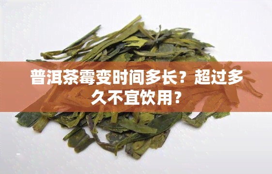 普洱茶霉变时间多长？超过多久不宜饮用？