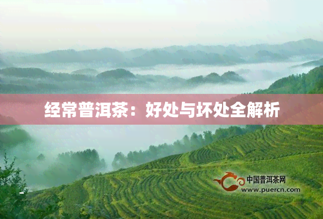 经常普洱茶：好处与坏处全解析