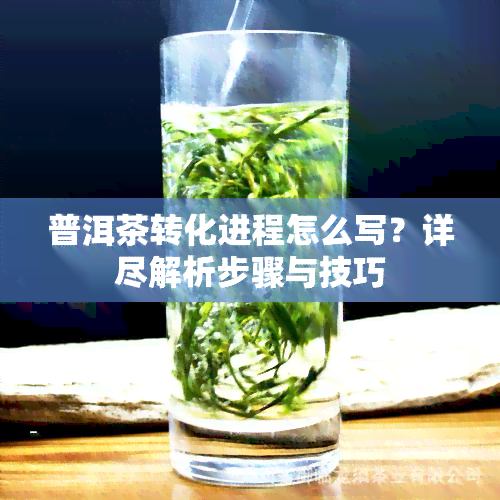 普洱茶转化进程怎么写？详尽解析步骤与技巧