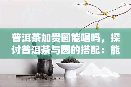 普洱茶加贵圆能喝吗，探讨普洱茶与圆的搭配：能否带来更高级别的饮品体验？