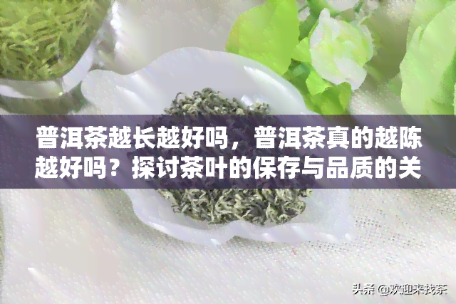 普洱茶越长越好吗，普洱茶真的越陈越好吗？探讨茶叶的保存与品质的关系