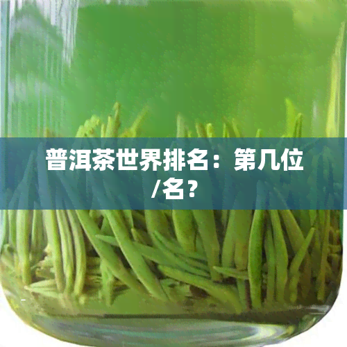 普洱茶世界排名：第几位/名？