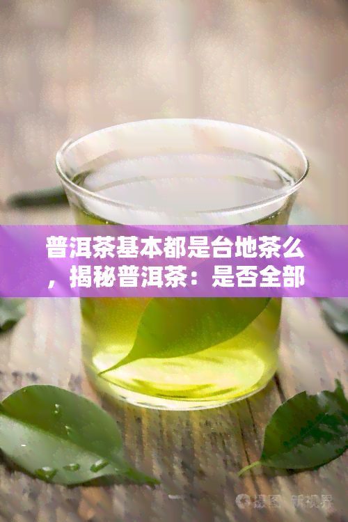 普洱茶基本都是台地茶么，揭秘普洱茶：是否全部为台地茶？