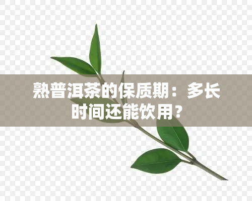 熟普洱茶的保质期：多长时间还能饮用？