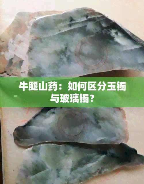 牛腿山药：如何区分玉镯与玻璃镯？