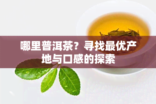 哪里普洱茶？寻找更优产地与口感的探索