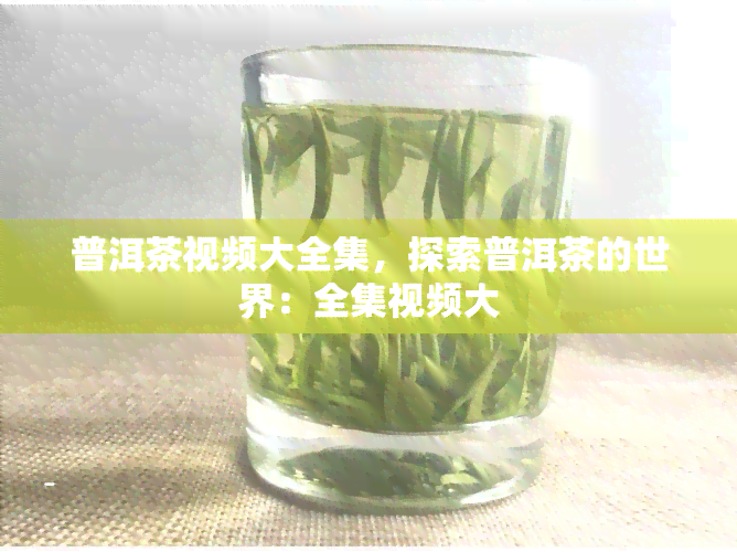 普洱茶视频大全集，探索普洱茶的世界：全集视频大