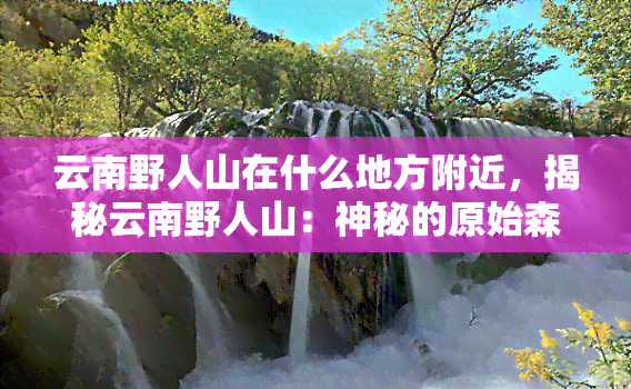 云南野人山在什么地方附近，揭秘云南野人山：神秘的原始森林在哪里？