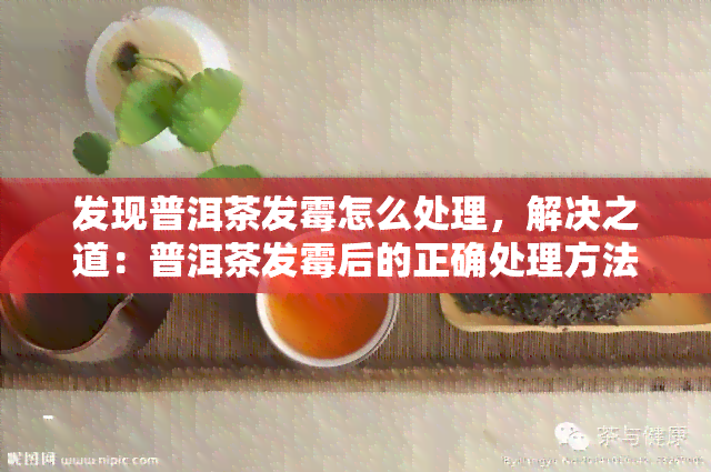 发现普洱茶发霉怎么处理，解决之道：普洱茶发霉后的正确处理方法