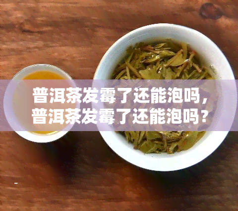 普洱茶发霉了还能泡吗，普洱茶发霉了还能泡吗？专家告诉你真相！