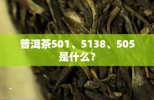 普洱茶501、5138、505是什么？