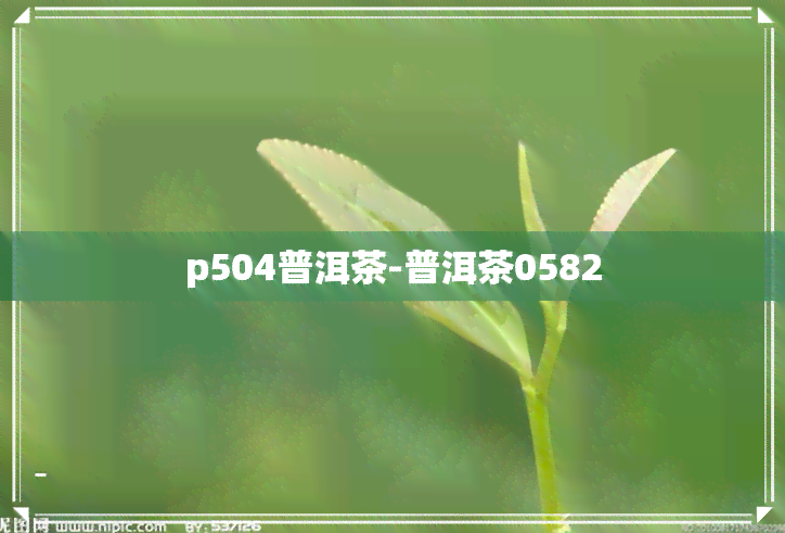 p504普洱茶-普洱茶0582