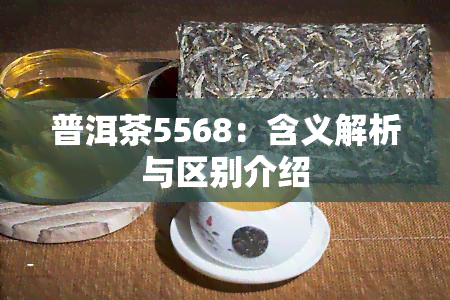 普洱茶5568：含义解析与区别介绍