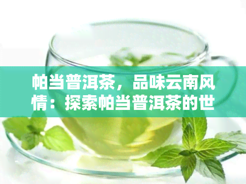 帕当普洱茶，品味云南风情：探索帕当普洱茶的世界