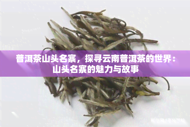 普洱茶山头名寨，探寻云南普洱茶的世界：山头名寨的魅力与故事