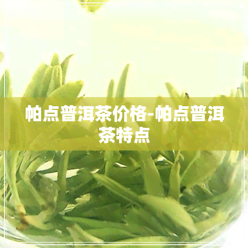 帕点普洱茶价格-帕点普洱茶特点