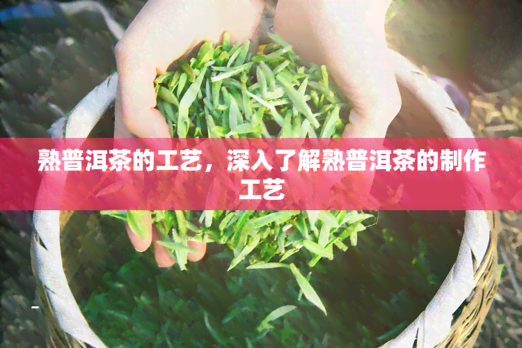 熟普洱茶的工艺，深入了解熟普洱茶的制作工艺