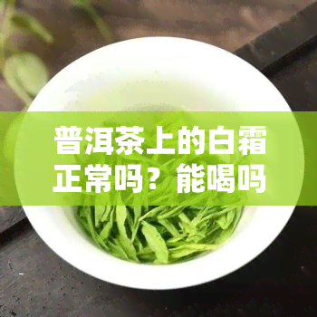 普洱茶上的白霜正常吗？能喝吗？看图了解