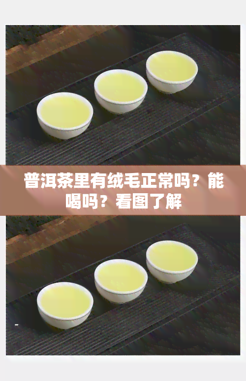 普洱茶里有绒毛正常吗？能喝吗？看图了解