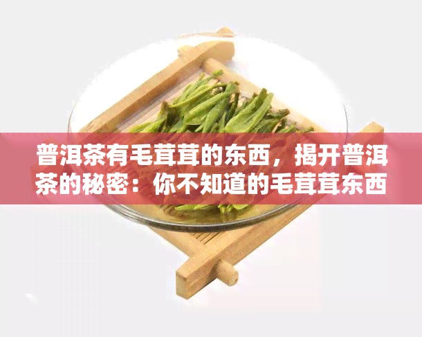 普洱茶有毛茸茸的东西，揭开普洱茶的秘密：你不知道的毛茸茸东西是什么？