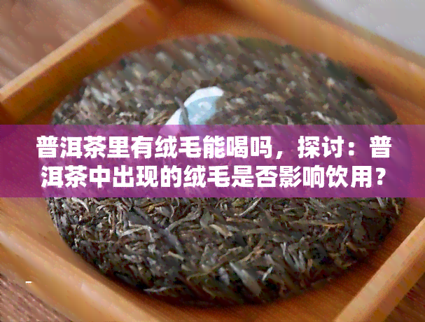 普洱茶里有绒毛能喝吗，探讨：普洱茶中出现的绒毛是否影响饮用？