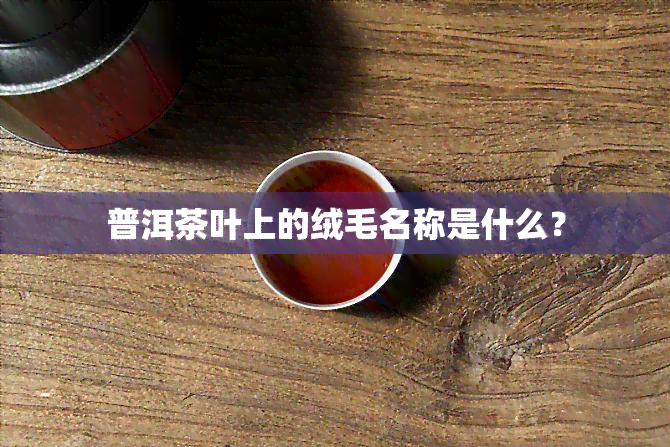 普洱茶叶上的绒毛名称是什么？