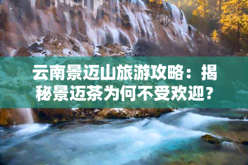 云南景迈山旅游攻略：揭秘景迈茶为何不受欢迎？