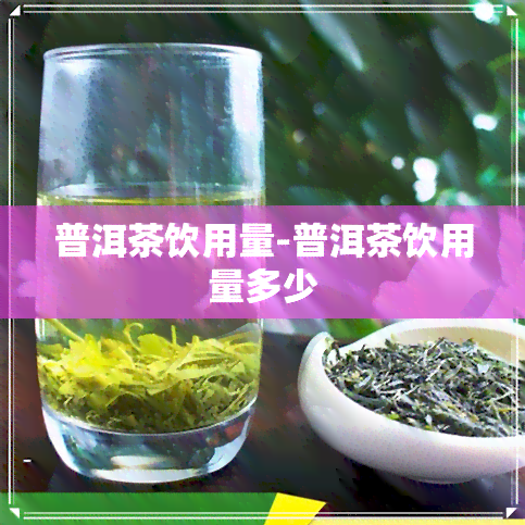 普洱茶饮用量-普洱茶饮用量多少