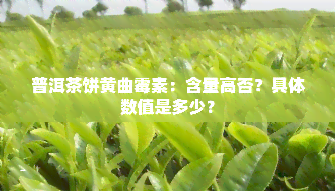 普洱茶饼黄曲霉素：含量高否？具体数值是多少？