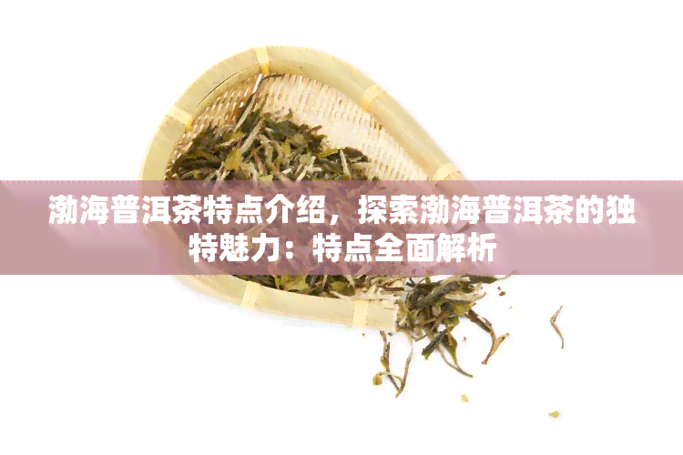 渤海普洱茶特点介绍，探索渤海普洱茶的独特魅力：特点全面解析