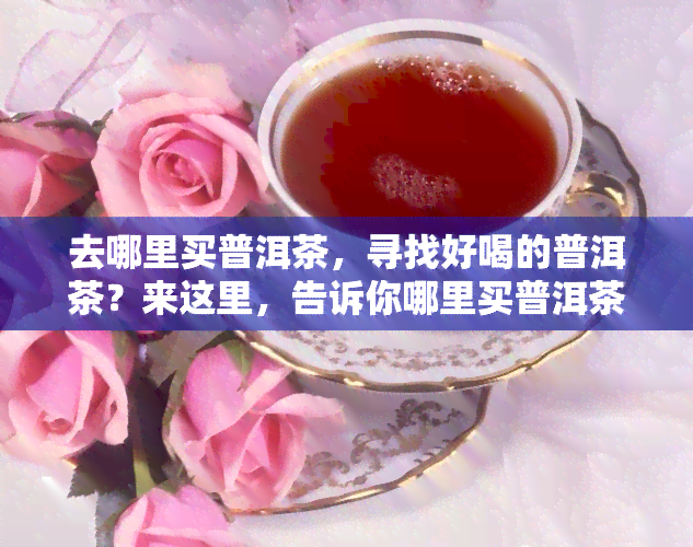 去哪里买普洱茶，寻找好喝的普洱茶？来这里，告诉你哪里买普洱茶！