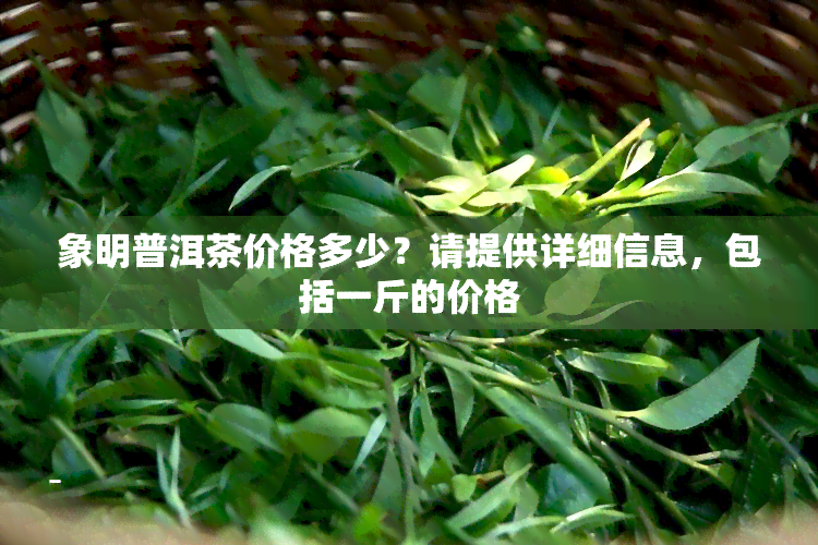 象明普洱茶价格多少？请提供详细信息，包括一斤的价格